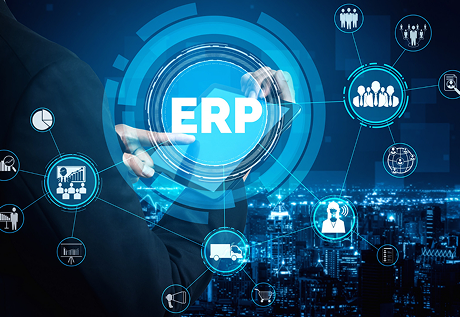 Enterprise Software Development