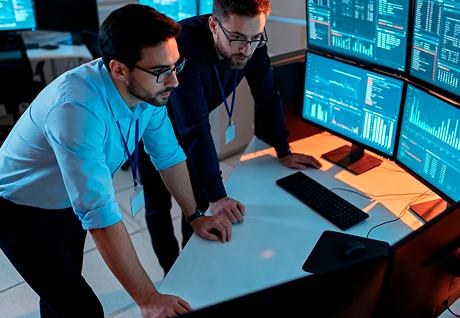 Software Consulting Services