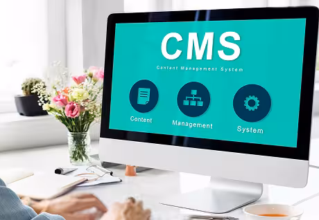 CMS Development